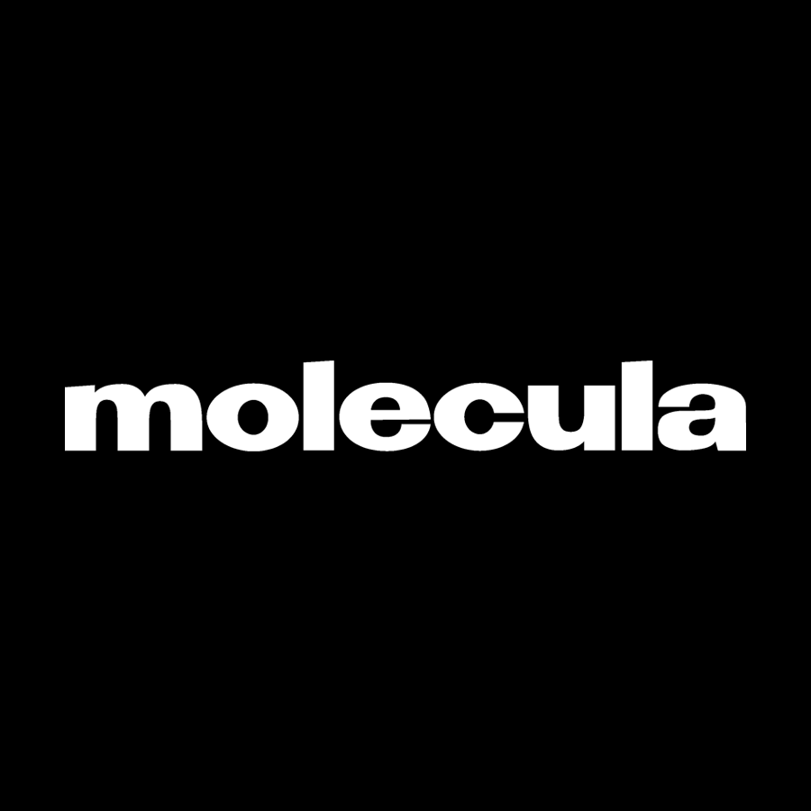 Molecula Agency